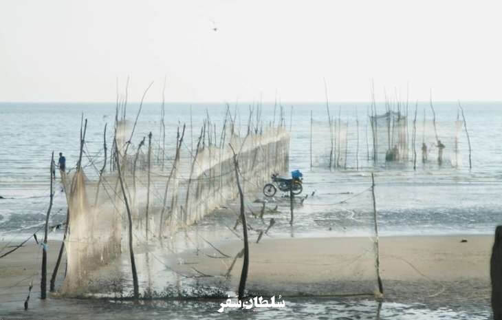 صید مشتا بندرعباس