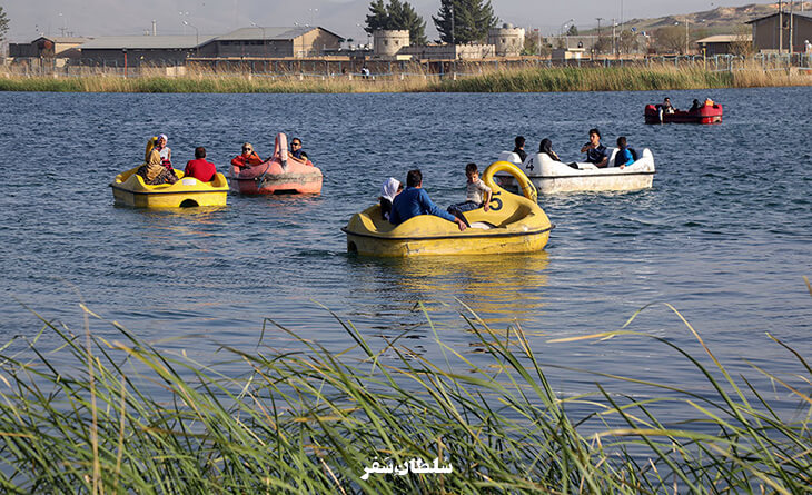 سراب نیلوفر