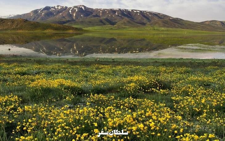 تالاب سولقان شهرکرد