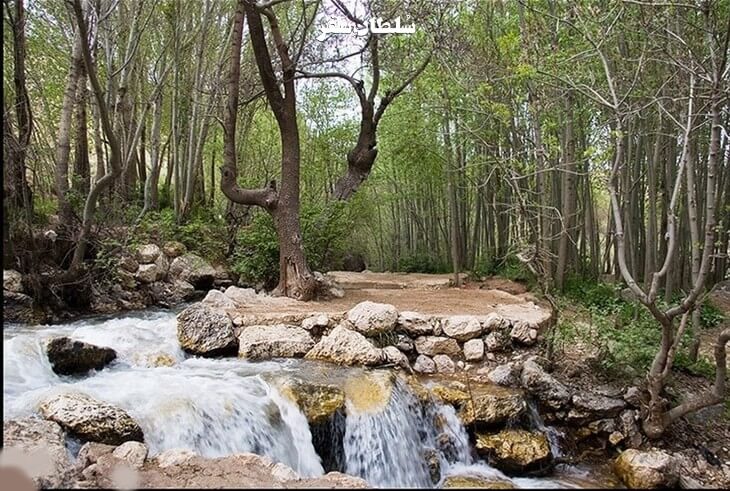 پیرغار شهرکرد