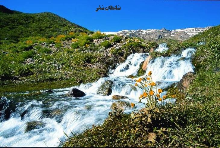 چشمه میشی - جاهای دیدنی یاسوج