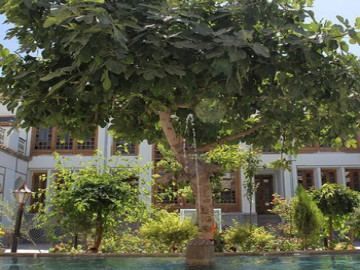 عکس هتل عتیق اصفهان