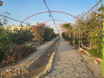 تصویر اجاره باغ ویلا در شاهین شهر