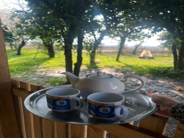 تصویر ویلا داخل باغ نارنج و پرتقال