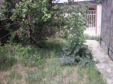 تصویر اجاره روزانه سالیانه ماهیانه خانه ویلا ارزان اطراف تهران دماوند