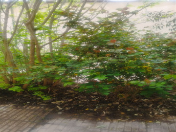 تصویر سوییت در شهر جلفا سه خوابه