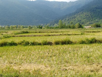 تصویر اجاره ویلا دوبلکس روستایی جنگلی تراس دار