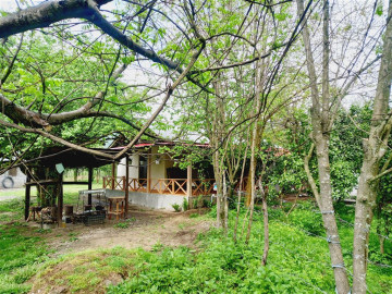 تصویر کلبه جنگلی عادل تالش