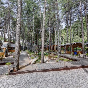 تصویر هتل جهانگردی تخت جمشید مرودشت