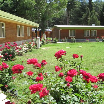 تصویر هتل جهانگردی تخت جمشید مرودشت