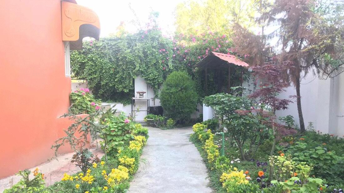 تصویر متل نخل فریدونکنار