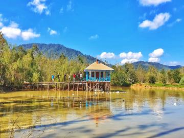 تصویر سوئیت ویلایی روستایی (لب آب)