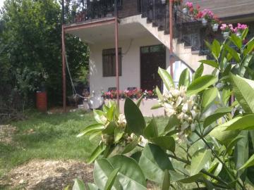 تصویر ویلای دو خوابه جنگلی گل شمعدونی (طبقه همکف)
