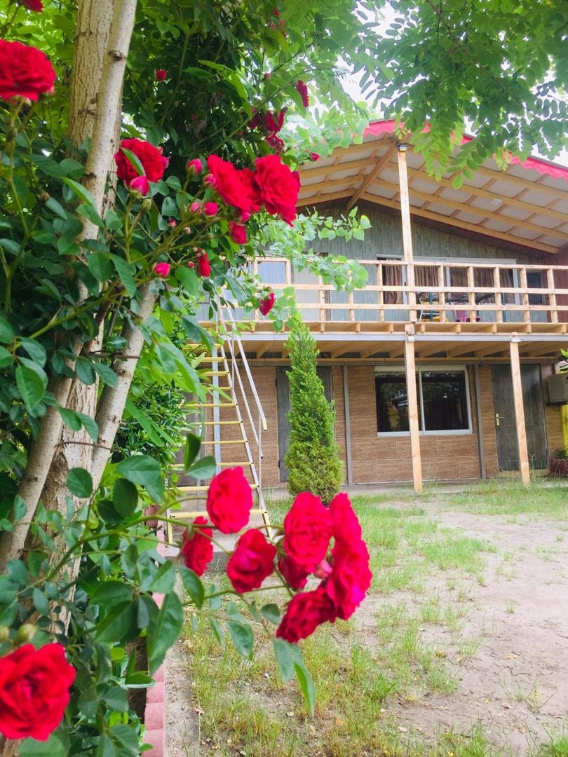 تصویر ویلای یک خوابه چوبی ساحلی