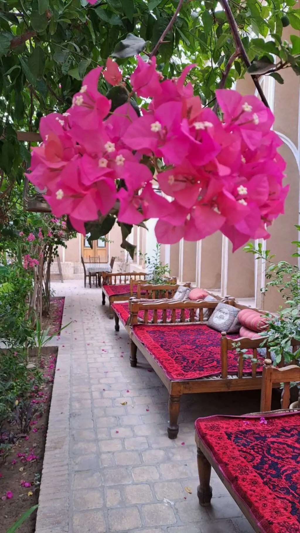 تصویر هتل سنتی کهن کاشانه یزد