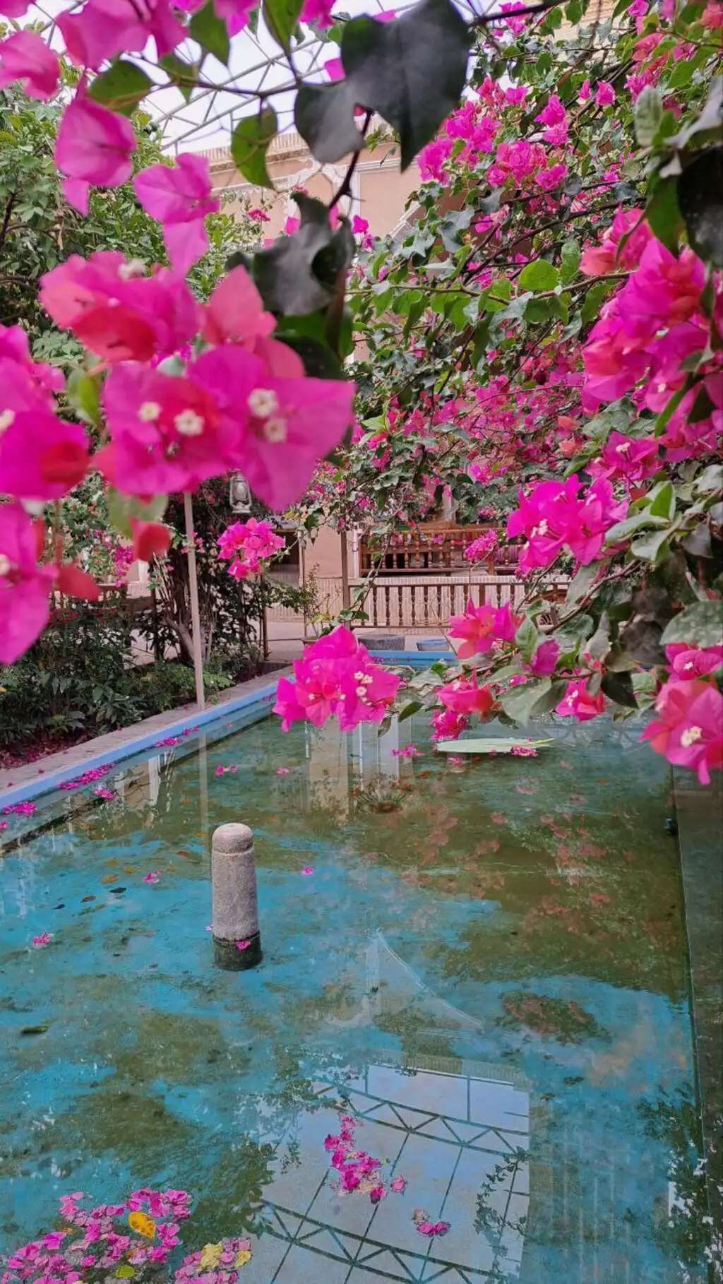 تصویر هتل سنتی کهن کاشانه یزد