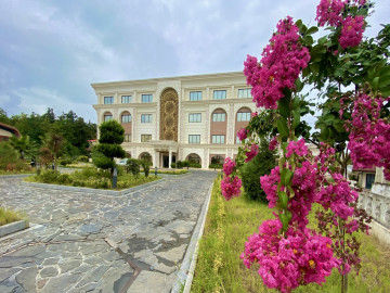 نما و لابی