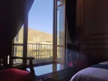 نما و لابی