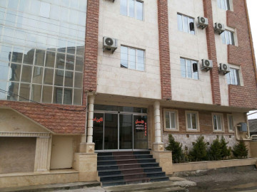 نما و لابی
