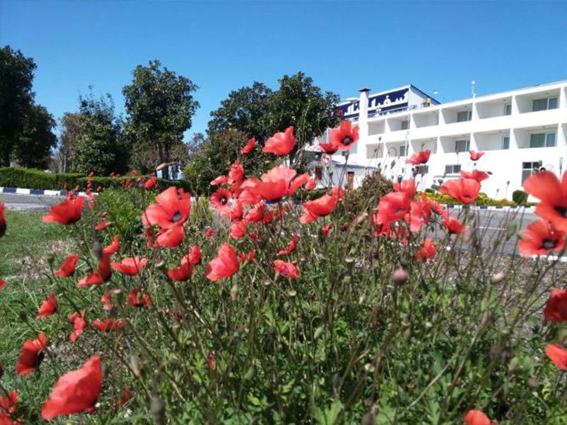 تصویر هتل سفیدکنار بندر انزلی