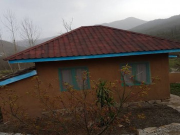 عکس آوای جنگل