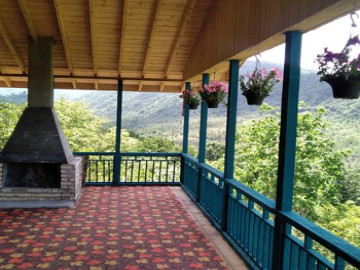 عکس تیکیش زیبا