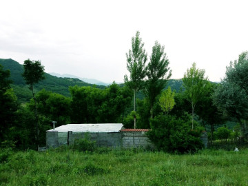 تصویر  ویلای استخردار جنگلی 