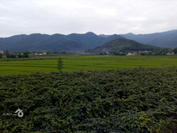 تصویر اجاره خانه روستایی در تالش