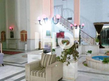 تصویر غزال زنجان- خرمدره
