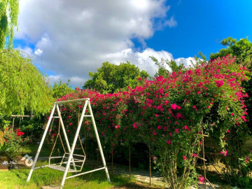 تصویر اجاره باغ ویلا در بابلسر