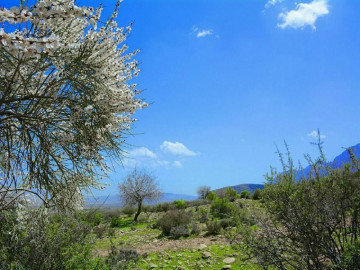 تصویر بوم گردی در فسا