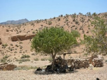 تصویر خانه سنتی در فسا-چادر 2