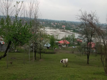 تصویر باغ و ویلا در وشمه سرای ماسال