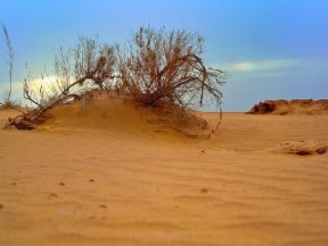 تصویر بومگردی سنتی تفریحی در خور اصفهان - اتاق 1