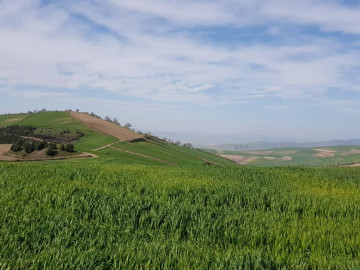 تصویر بومگردی سنتی درحومه کلاله