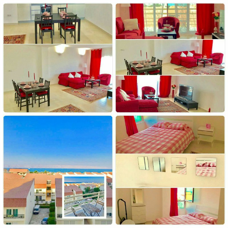 عکس دامون 10