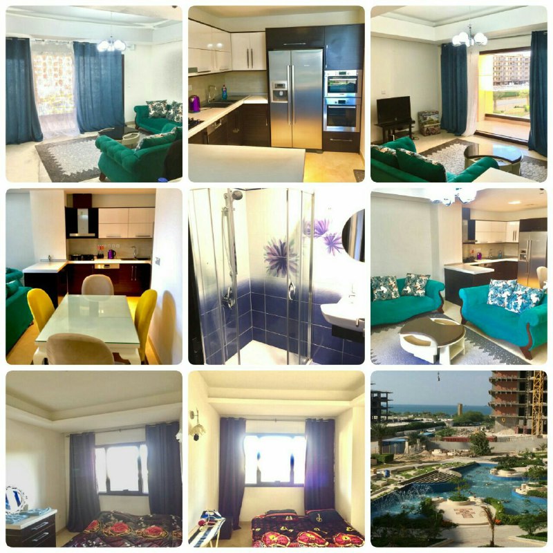 عکس دامون 11