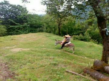 تصویر کلبه جنگلی در قلعه رودخان-دوخوابه طبقه دوم