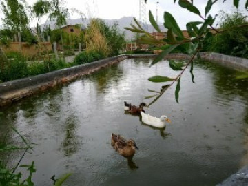 تصویر کلبه روستایی در جاده سراب کرمانشاه