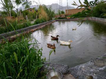 تصویر اقامتگاه بومگردی سنتی در جاده سراب کرمانشاه