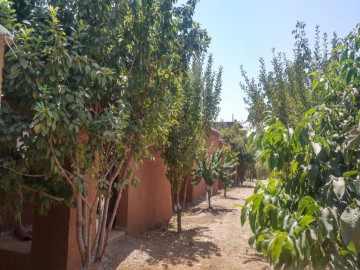 تصویر خانه سنتی در کانی سانان مریوان - دیوخان