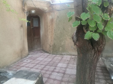 عکس یاس سفید اتاق 115