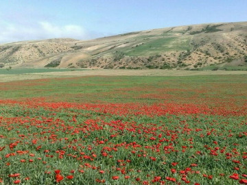 تصویر اقامتگاه بومگردی و خانه روستایی در حسین آباد شاهرود