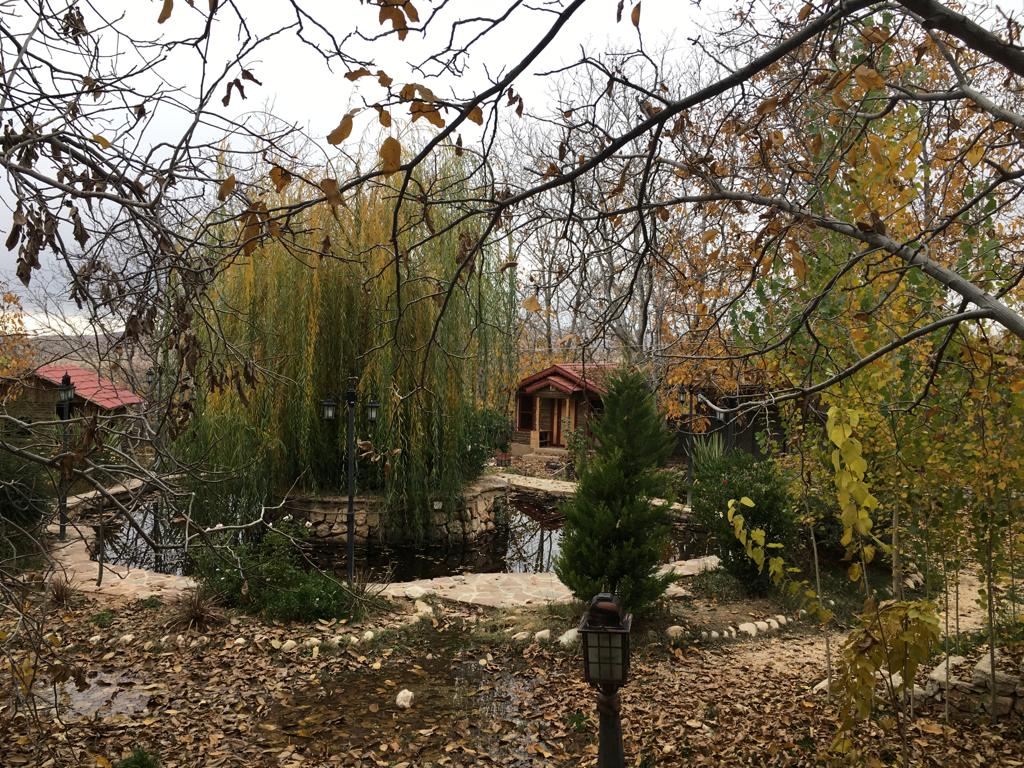 عکس سرو نقره ای کلبه5