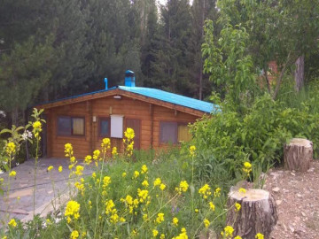 عکس دیزین کلبه1