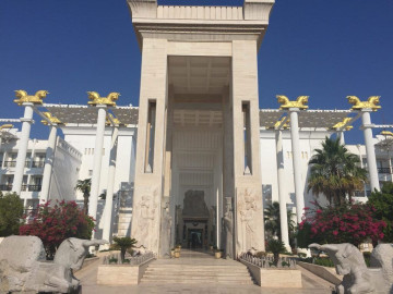 نما و لابی