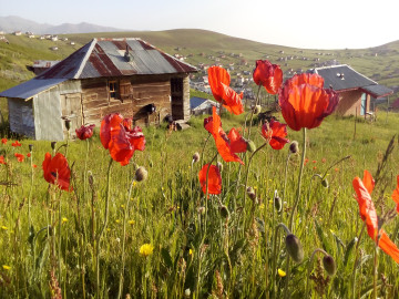 تصویر کلبه سنتی ییلاقی در سوباتان لیسار - تالش