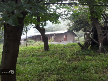 تصویر اجاره کلبه جنگلی در دهستان لفور-برکه