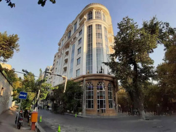 نما و لابی