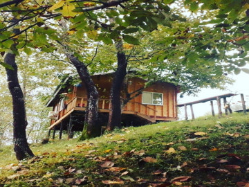 عکس کلبه جنگلی باغ سعدی 2